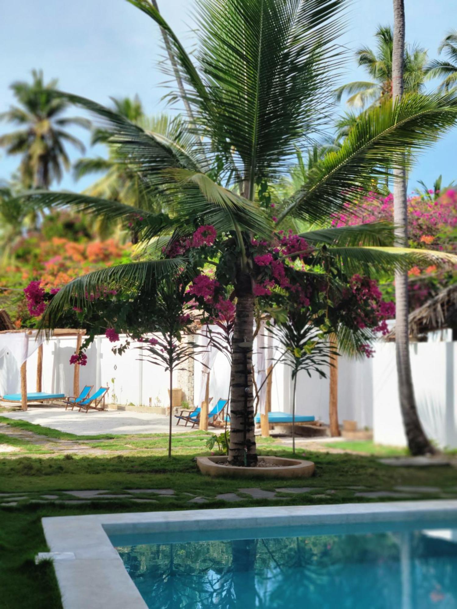 Mambo Cabana Pwani Mchangani Exterior photo